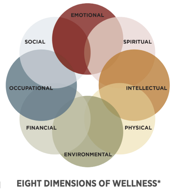 Scheduling a Self Checkup: How to Approach Wellness as a Physician ...